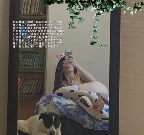 fluffyfulafel modèle exclusif galeries