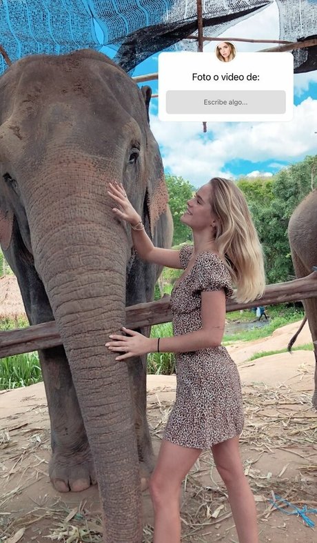 Inna Moll estrella perfecta recopilación