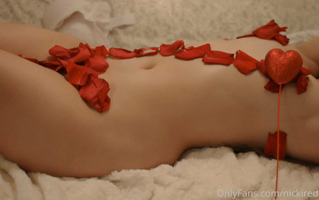 Nickired modelo libre archivo