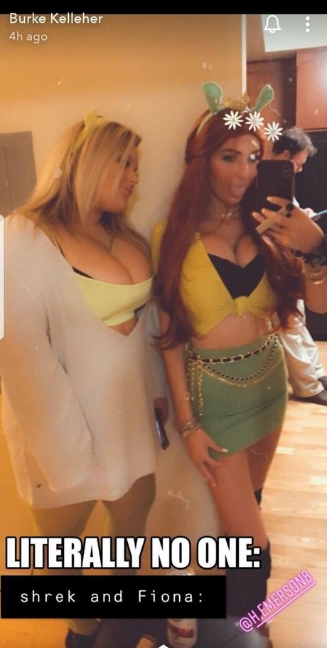 burkekelleher estrella agradable imágenes