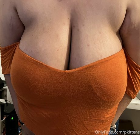 pkittens mannequin galeries