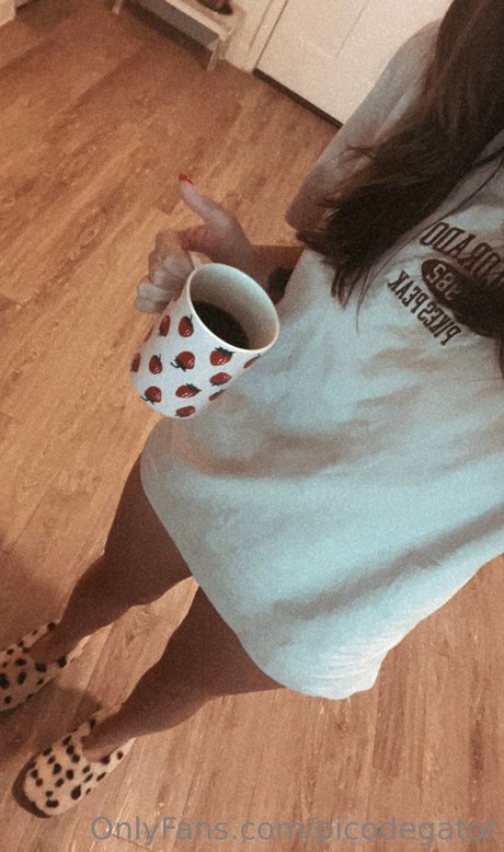 Picodegator mejor estrella porno imágenes