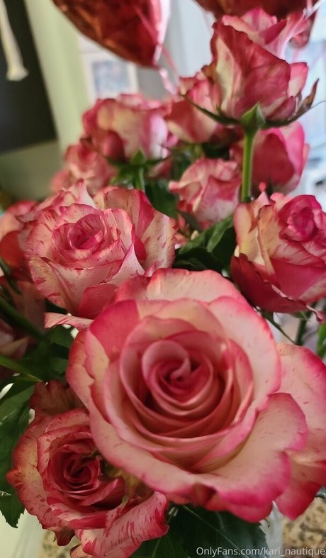 Kari Nautique estrella porno en alta definición fotos