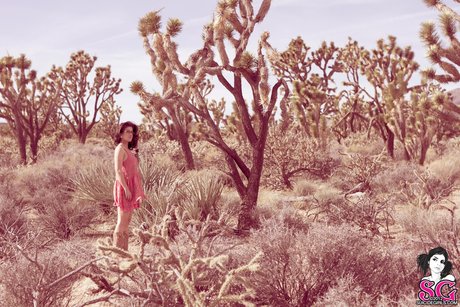 periodista onlyfans desnudo gratis imagen