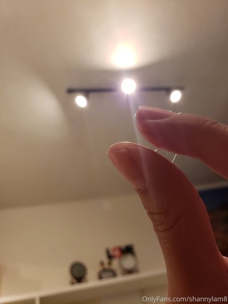 Shanny Lam modèle de sexe image