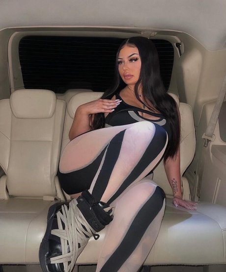 Goyard Wallet belle étoile photo