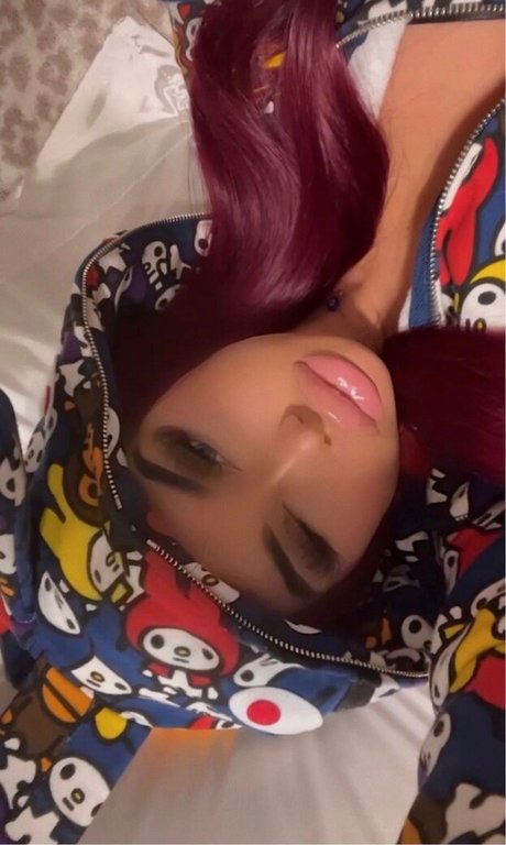 Goyard Wallet modelo de arte imagen