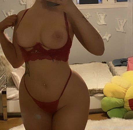 Goyard Wallet hermosa modelo galería