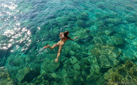 Moroshka nus de stars du porno images