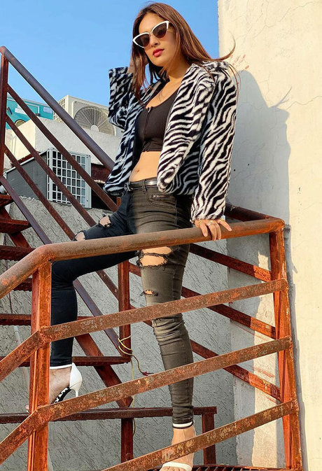 Neha Malik actrice pornographique collection