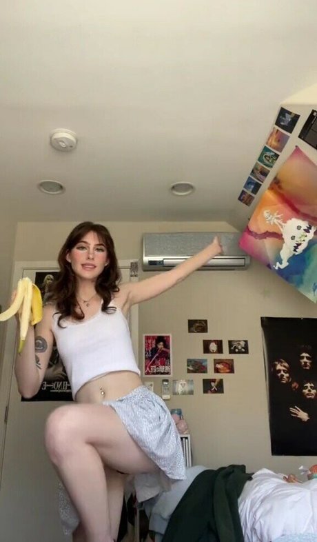 Sushicami estrella bonita galerías