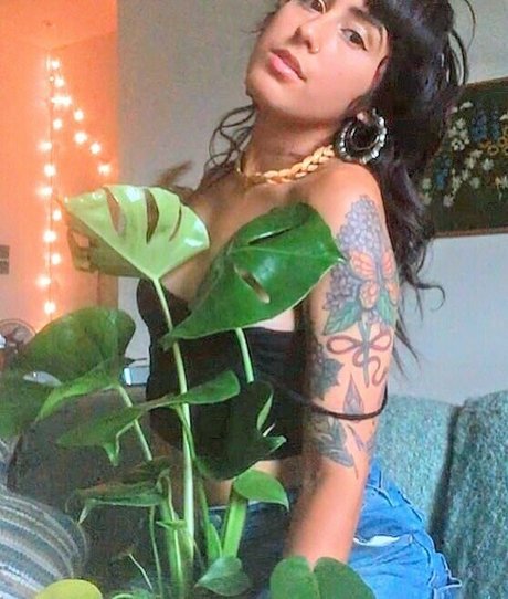 Lenamarisol star du porno chaude image