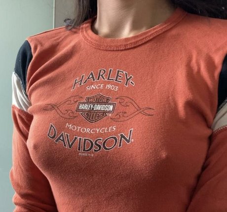 Lenamarisol actrice parfaite collection