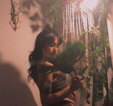 Lenamarisol modèle gratuit image