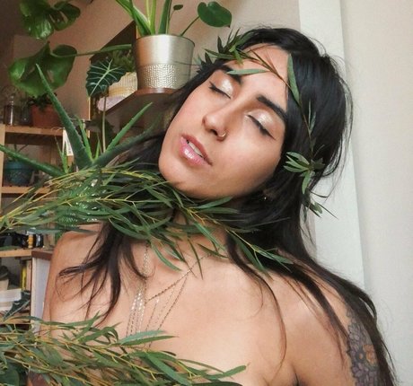 Lenamarisol actrice libre galerie