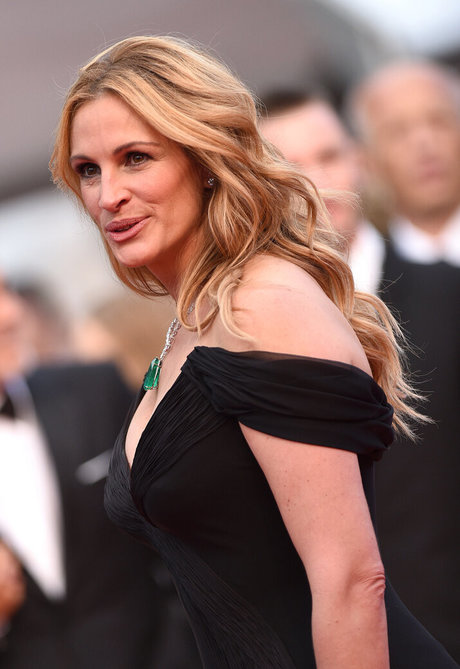 Julia Roberts sexy pornstar picture
