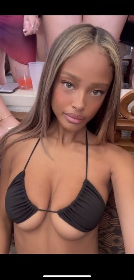 Vinetrria Vinetria linda estrella galerías