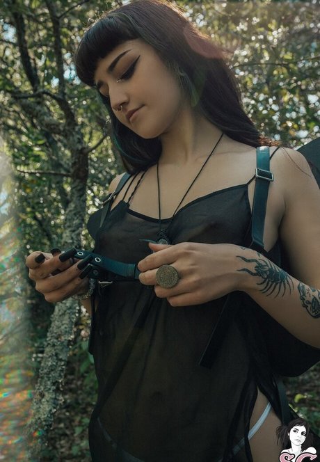 Lunathefairyy estrella agradable fotos