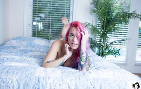 Torie Suicide estrella del arte galerías