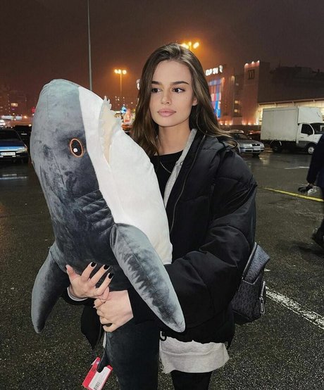 Meflia étoile galeries