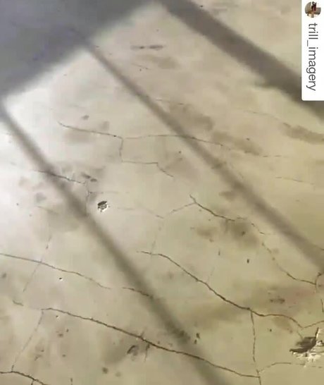 Ela Pasion star du porno galerie