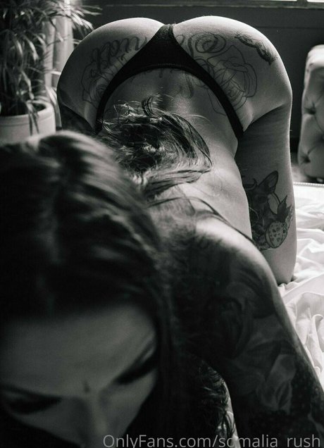 Sarah Schmidt art étoile image