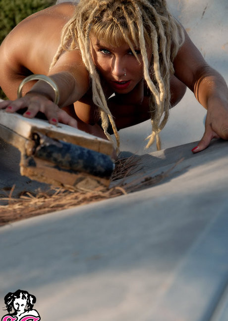 Waikiki estrella agradable imágenes