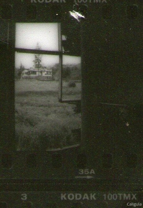 xxxcaligulaxxx modelo xxx fotos