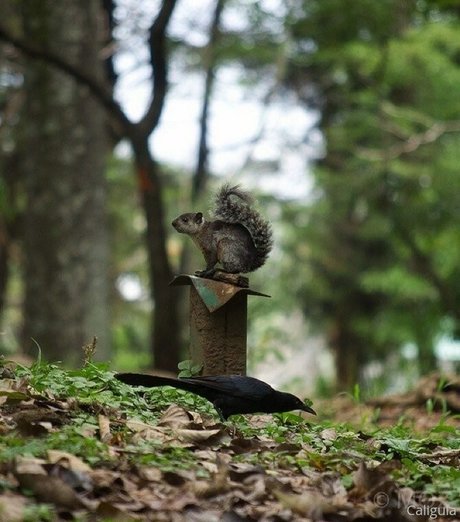 xxxcaligulaxxx estrella porno bonita galería