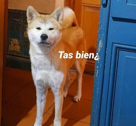 firefliesirl modelo porno imagen