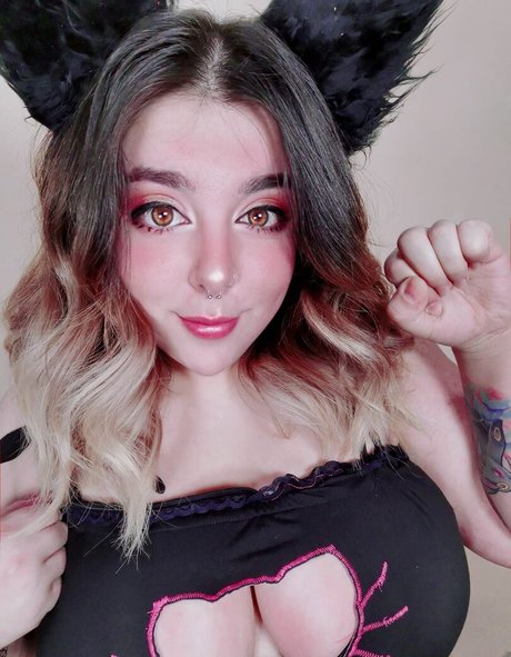 firefliesirl modèle gratuit galeries