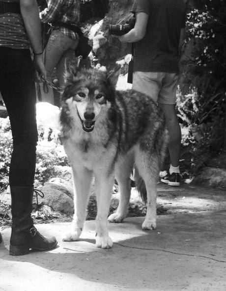 Roos Van Montfort star exclusive images