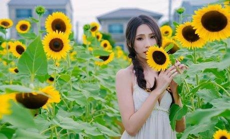 Anita Feifei 11111 desnudos estrella porno recopilación