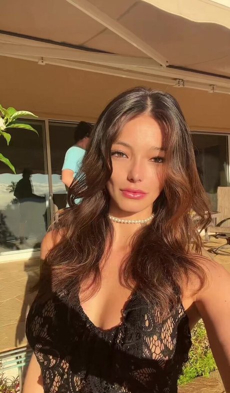 ohwhatafox libre de estrellas imagen