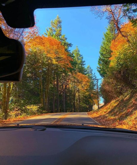 eileenexy modelo porno imagen