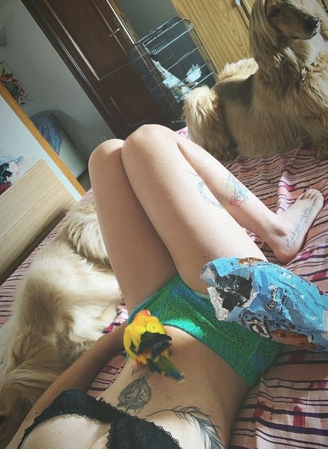 MidoriShake meilleure actrice des photos