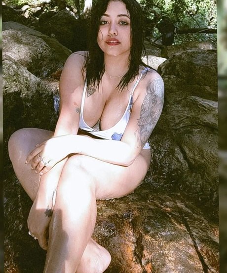 Yajnaseni estrella caliente imágenes