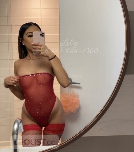 Baby Lily estrella recopilación