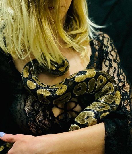 pink princess on sky meilleure étoile archive