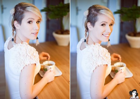 Euphoriasis estrella adulta galerías