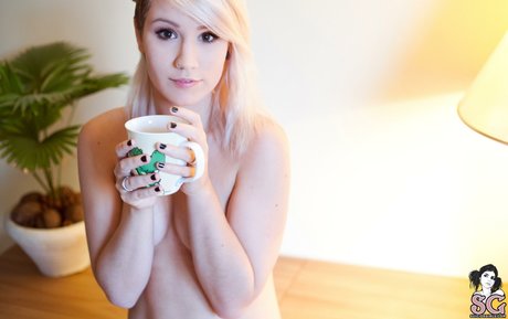 Euphoriasis Image de profil