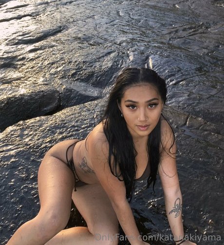Katana Kiyama_ art star du porno image