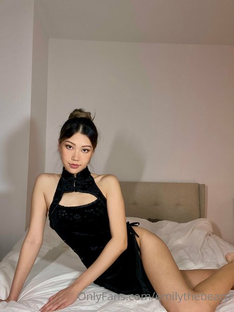 Emily the bearrr Image de profil