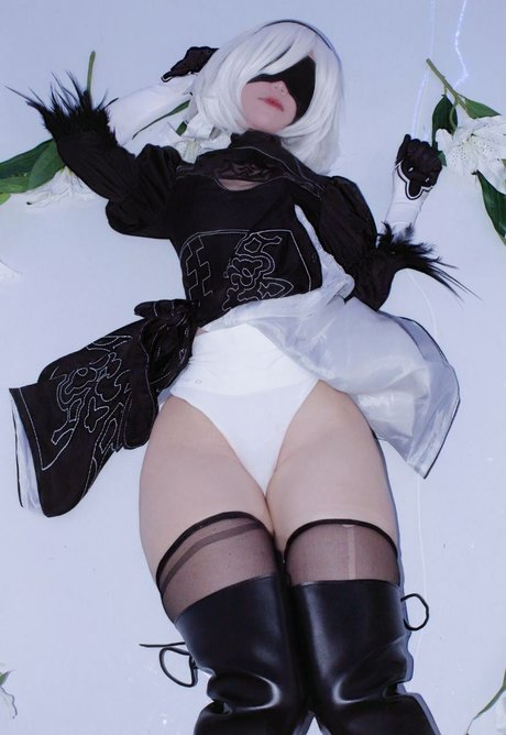 Little mewi estrella agradable archivo