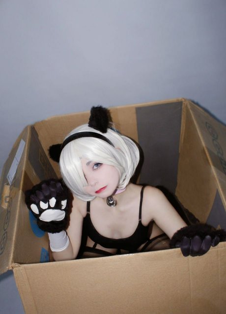 Little mewi modèle parfait photo