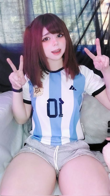 Little mewi arte modelo recopilación