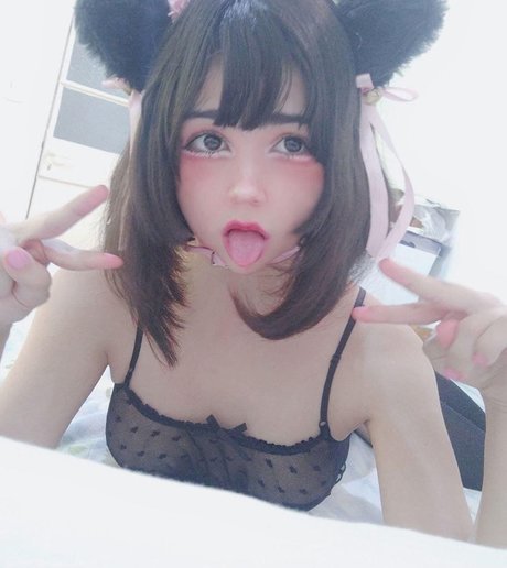Little mewi profile image