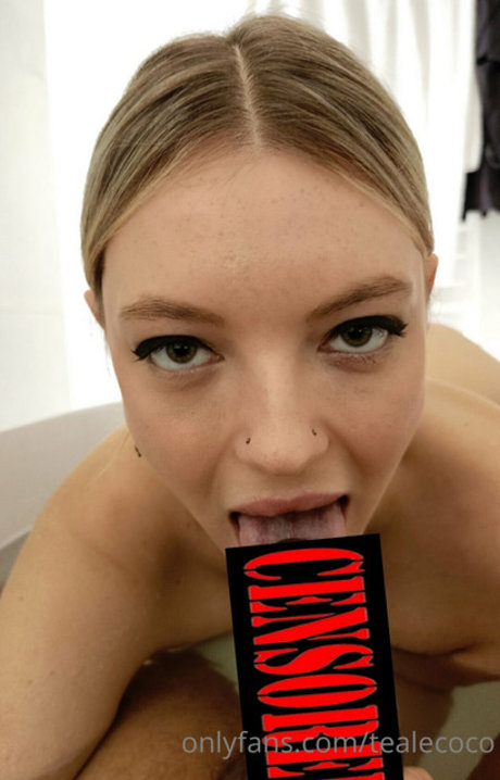 Teale Coco pornstar art image