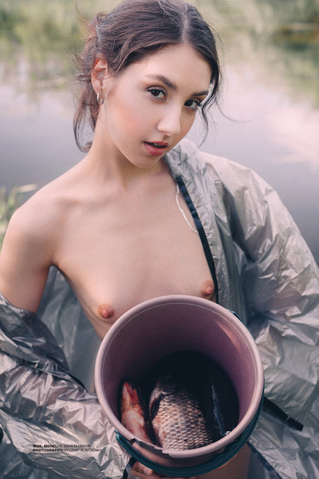 Elis estrella caliente galerías