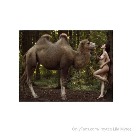 lmytee modèle magnifique collection